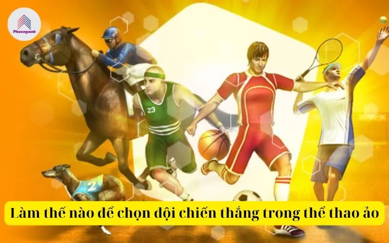 Làm thế nào để chọn đội chiến thắng trong thể thao ảo