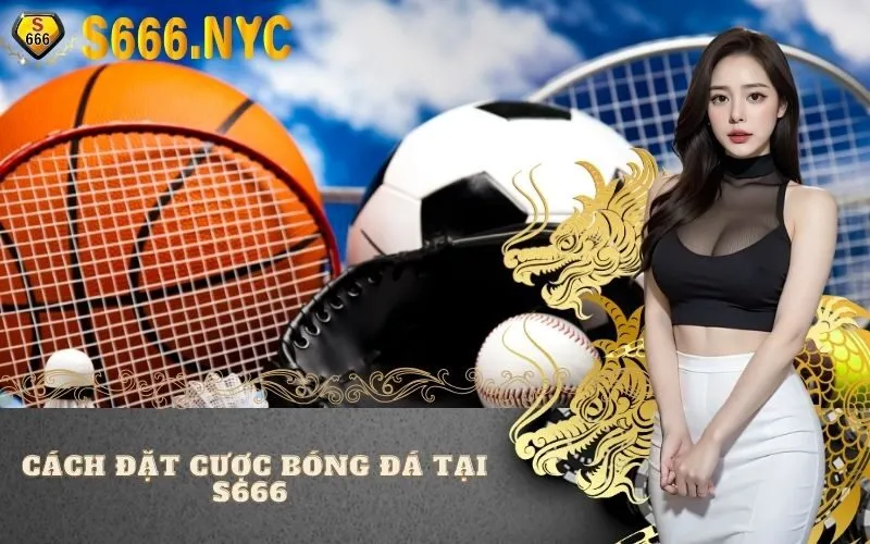 Cách đặt cược bóng đá tại S666