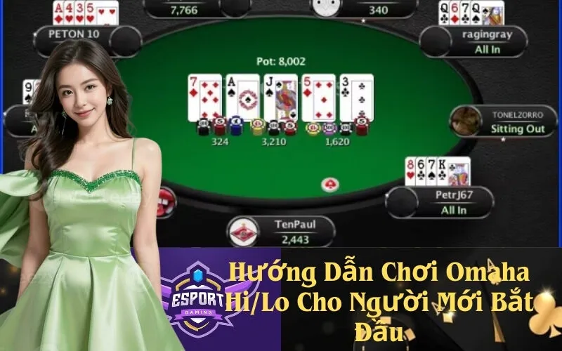 Hướng Dẫn Chơi Omaha Hi/Lo Cho Người Mới Bắt Đầu