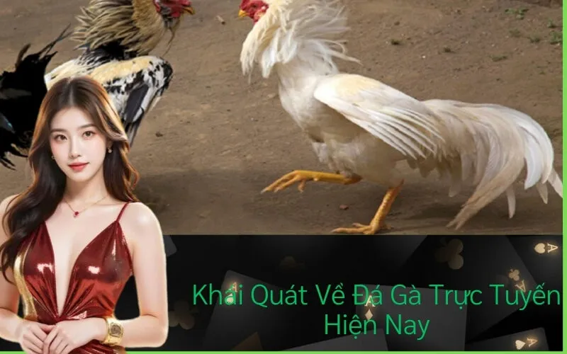 Khái Quát Về Đá Gà Trực Tuyến Hiện Nay