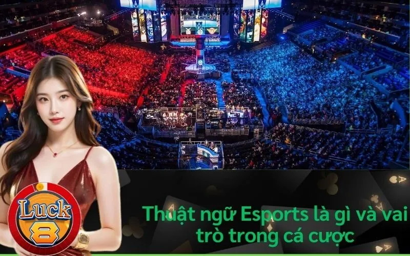 Thuật ngữ Esports là gì và vai trò trong cá cược