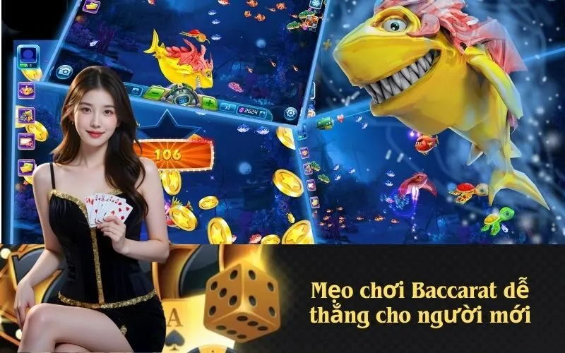 Mẹo chơi Baccarat dễ thắng cho người mới