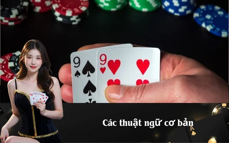 Các thuật ngữ cơ bản