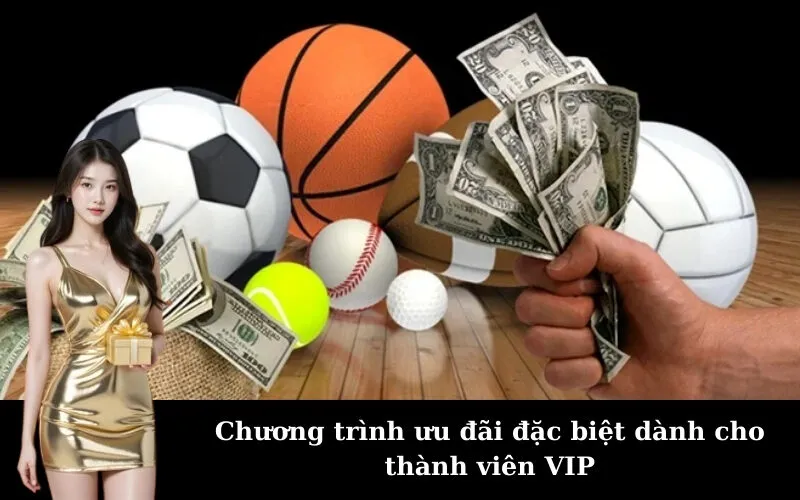 Chương trình ưu đãi đặc biệt dành cho thành viên VIP