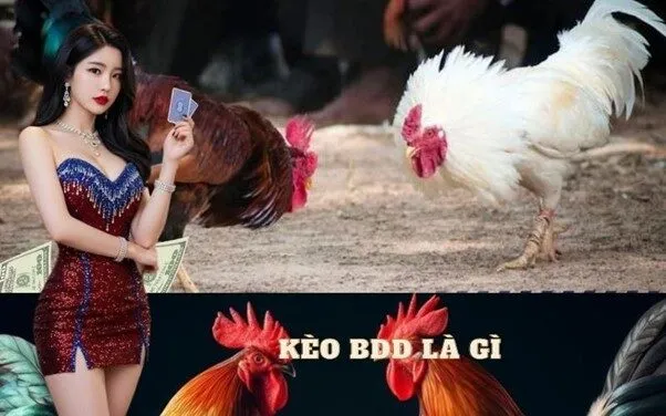 Kèo BDD là gì