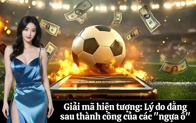 Giải mã hiện tượng: Lý do đằng sau thành công của các "ngựa ô"